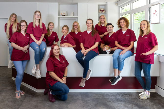 Team Kleintierpraxis Löbert Das Team der Kleintierpraxis Löbert in Einbeck